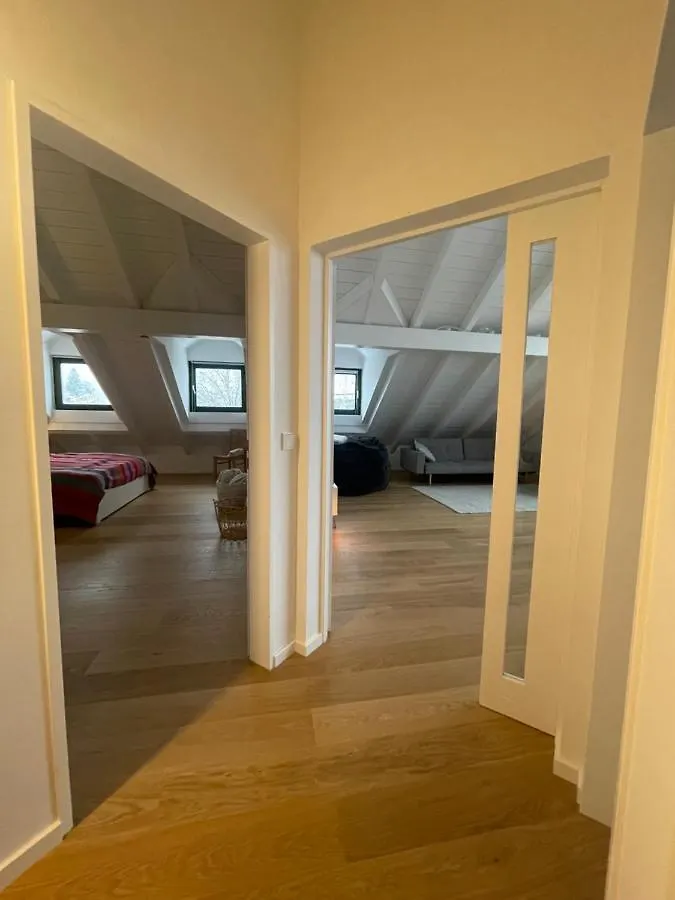 Gemuetliches Loft Apartment Geretsried